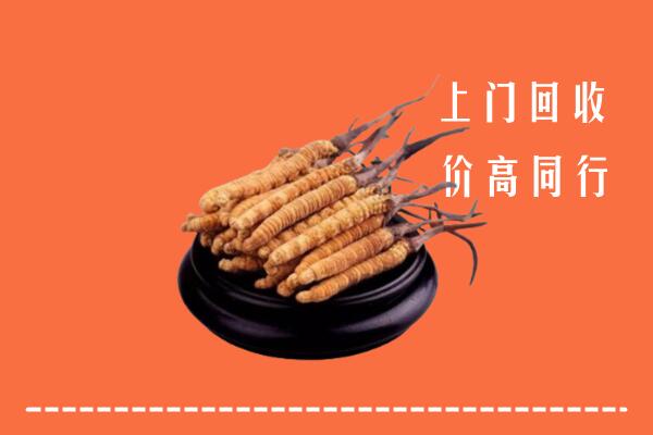 高价求购：安庆回收散虫草