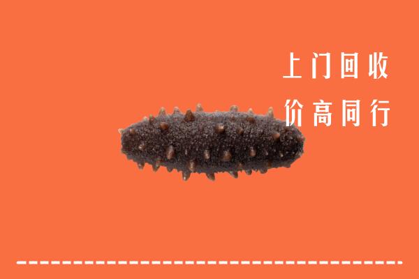 高价求购：安庆回收海参